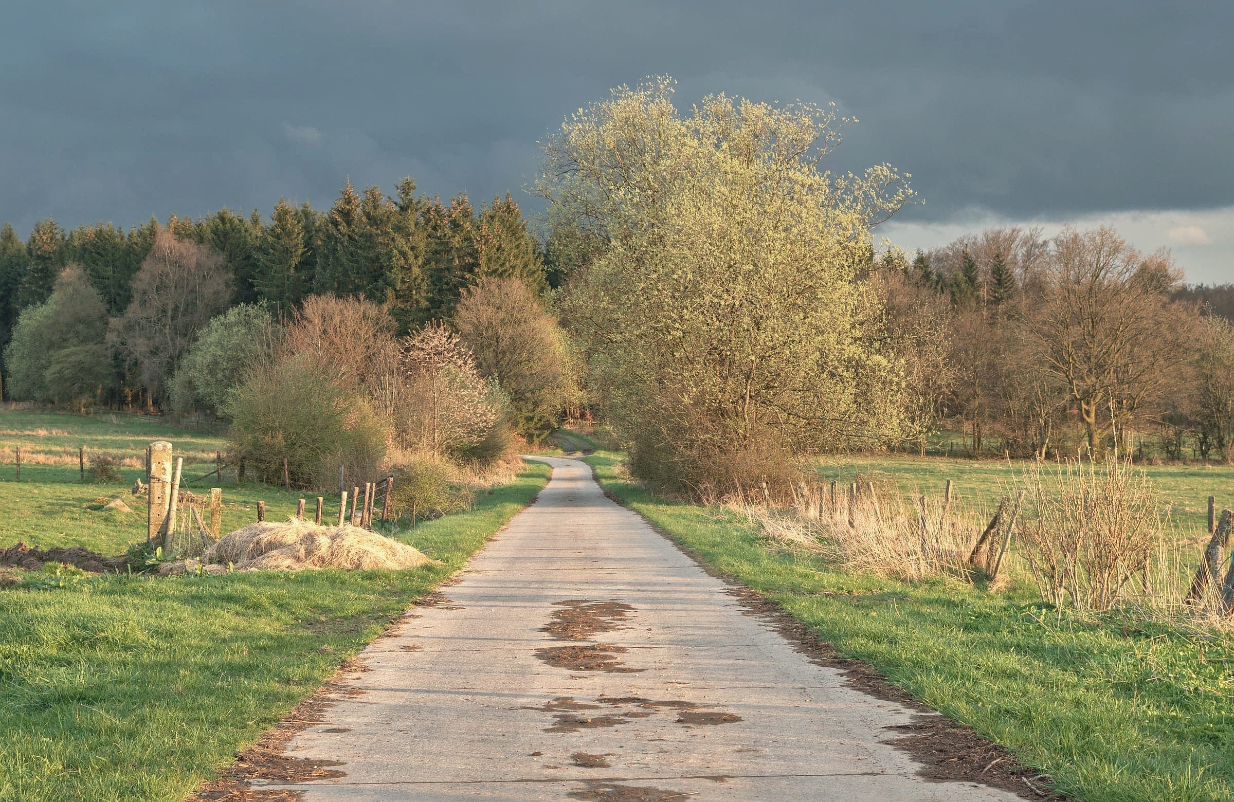 A quiet country lane runs between green fields and spring trees.